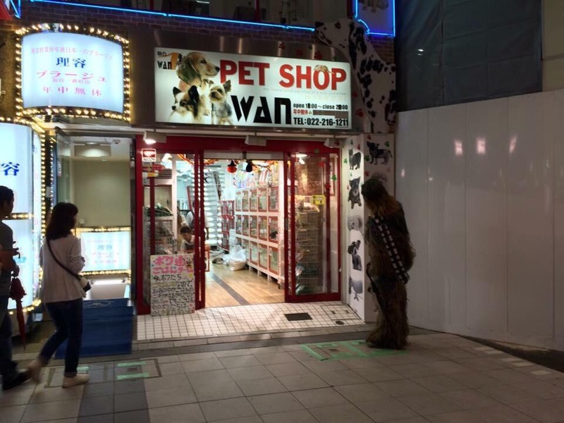 Illustration for article titled Chewbacca's Secret Life in Japan